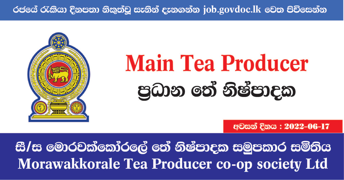 Main Tea Producer Morawakkorale Tea Producer coop society Ltd Job
