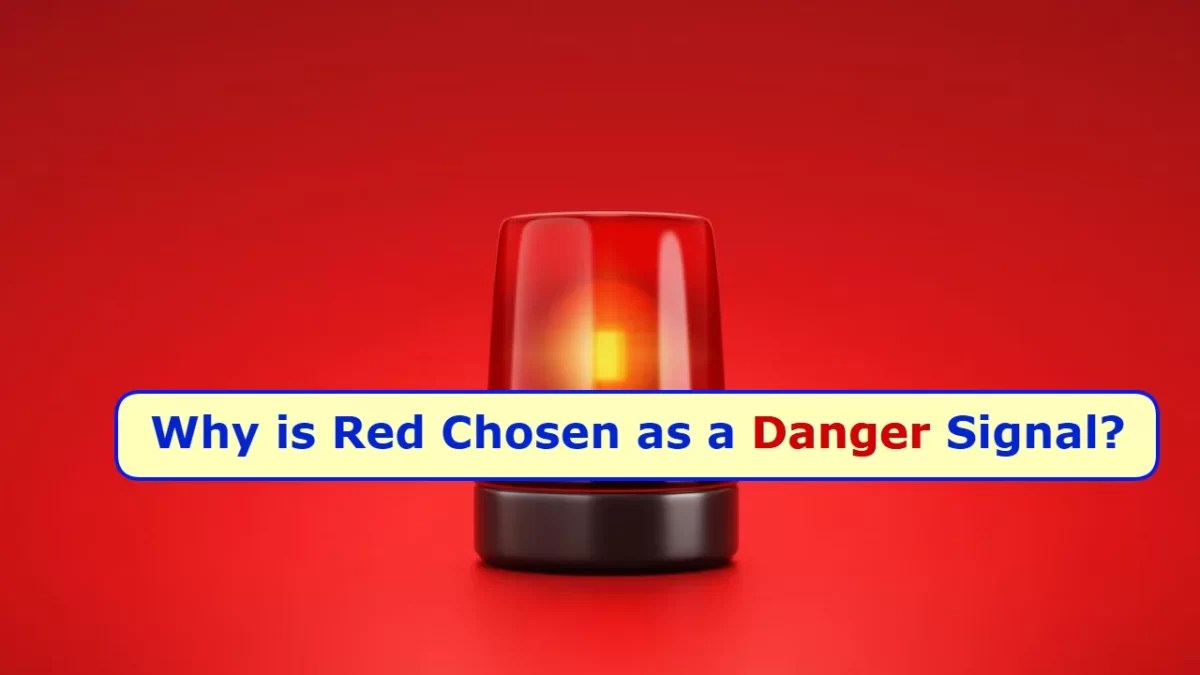Do You Know Why is Red Chosen as a Danger Signal? Is There Any Science Behind It?
