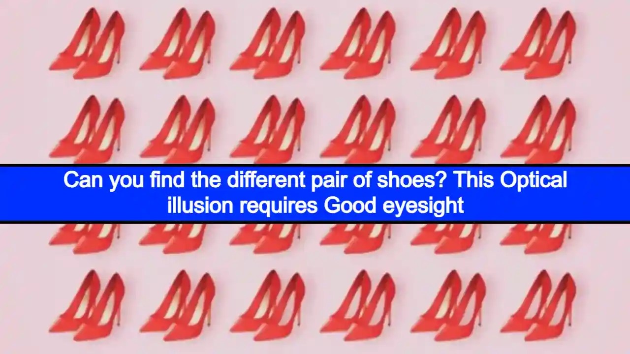 Can you find the different pair of shoes? This Optical illusion requires Good eyesight Gove News