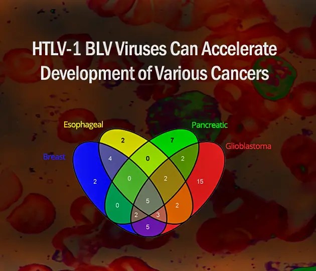 Milk And Dairy Health Risk Correlations