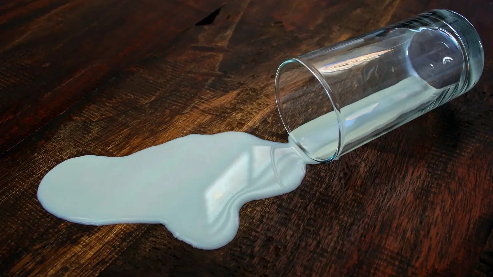 Milk And Dairy Health Risk Correlations