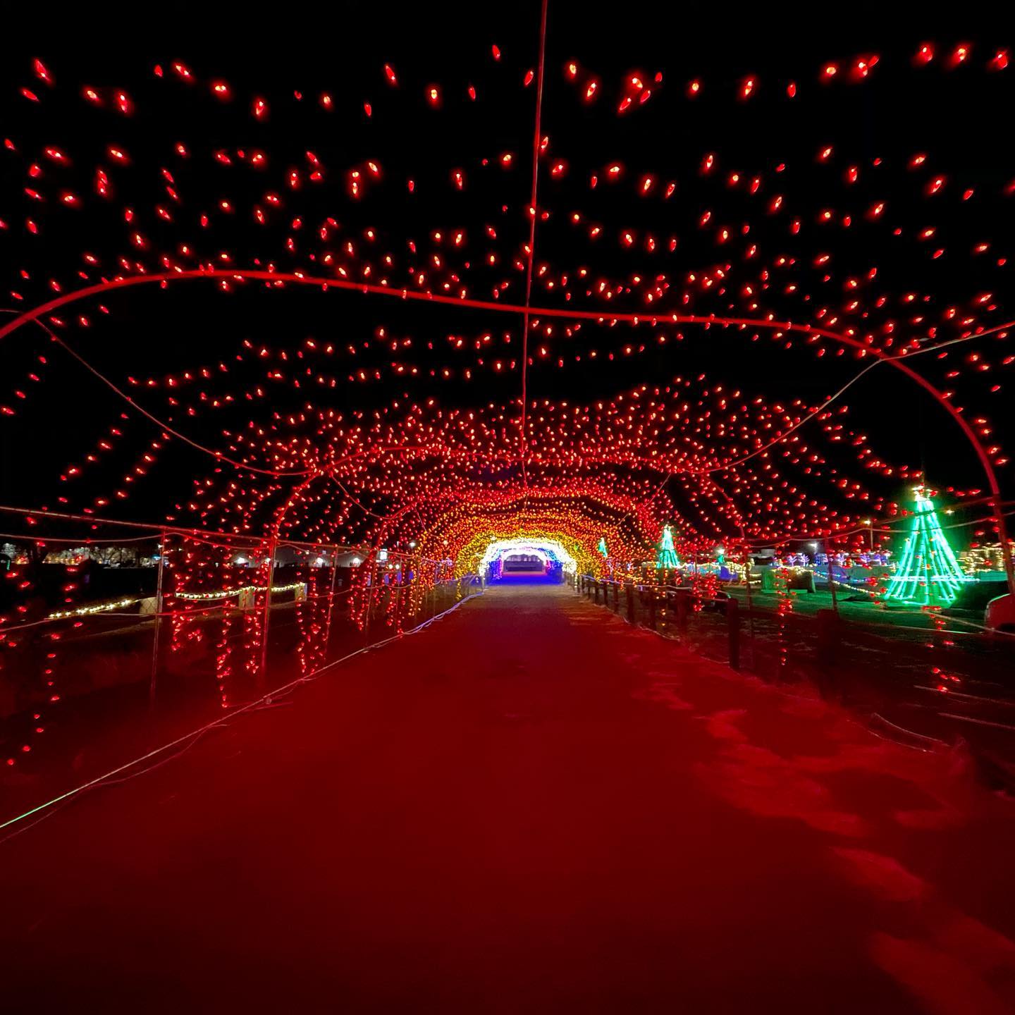 Enjoy 13 of the Country’s Most Beautiful DriveThrough Christmas Light