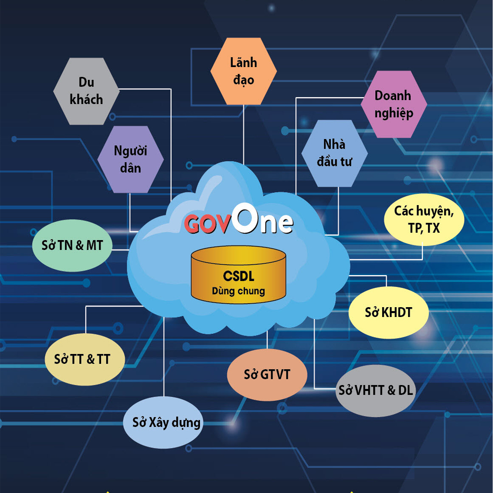 GovOne Hệ thống cơ sở dữ liệu GIS dùng chung cấp Tỉnh, Thành phố phục