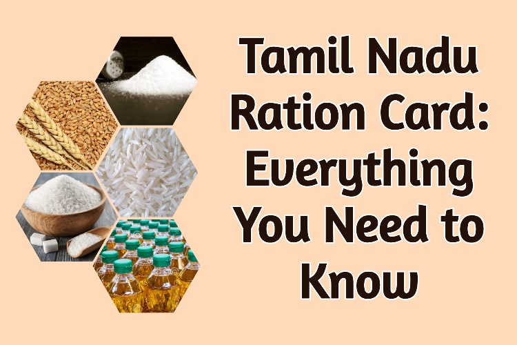Your Complete Guide to Tamil Nadu Ration Cards Govt Sevaa
