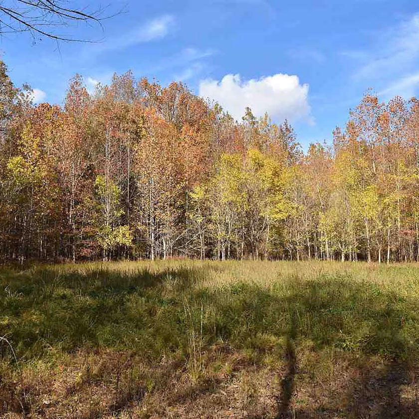 Stanton, Tennessee The Wallace Group Home & Loan