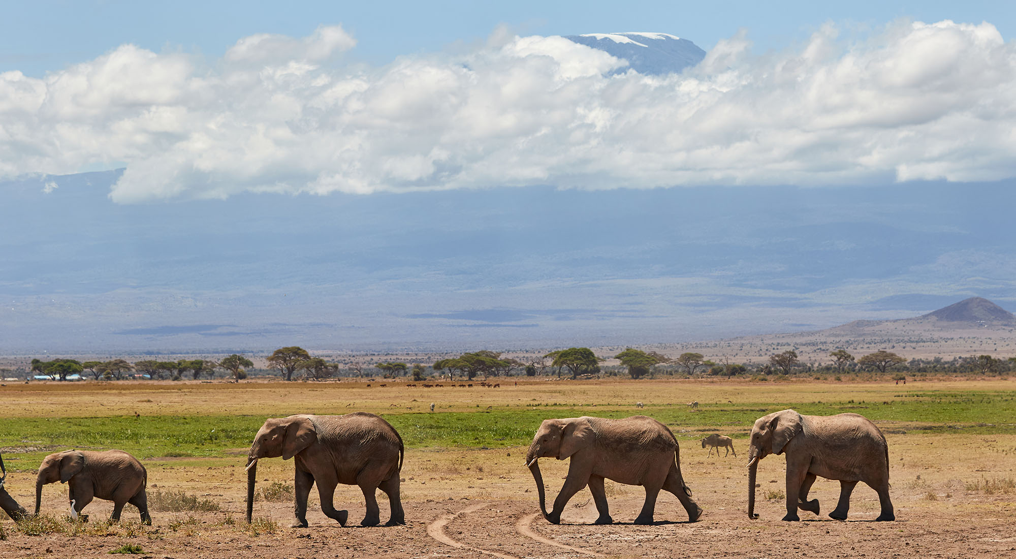 Amboseli National Park Video » Go Wander The World