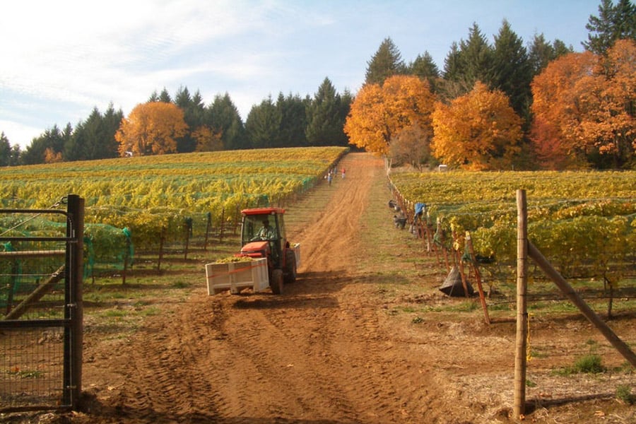 12 Best Hood River Wineries to Visit in Northern Oregon Go Wander Wild