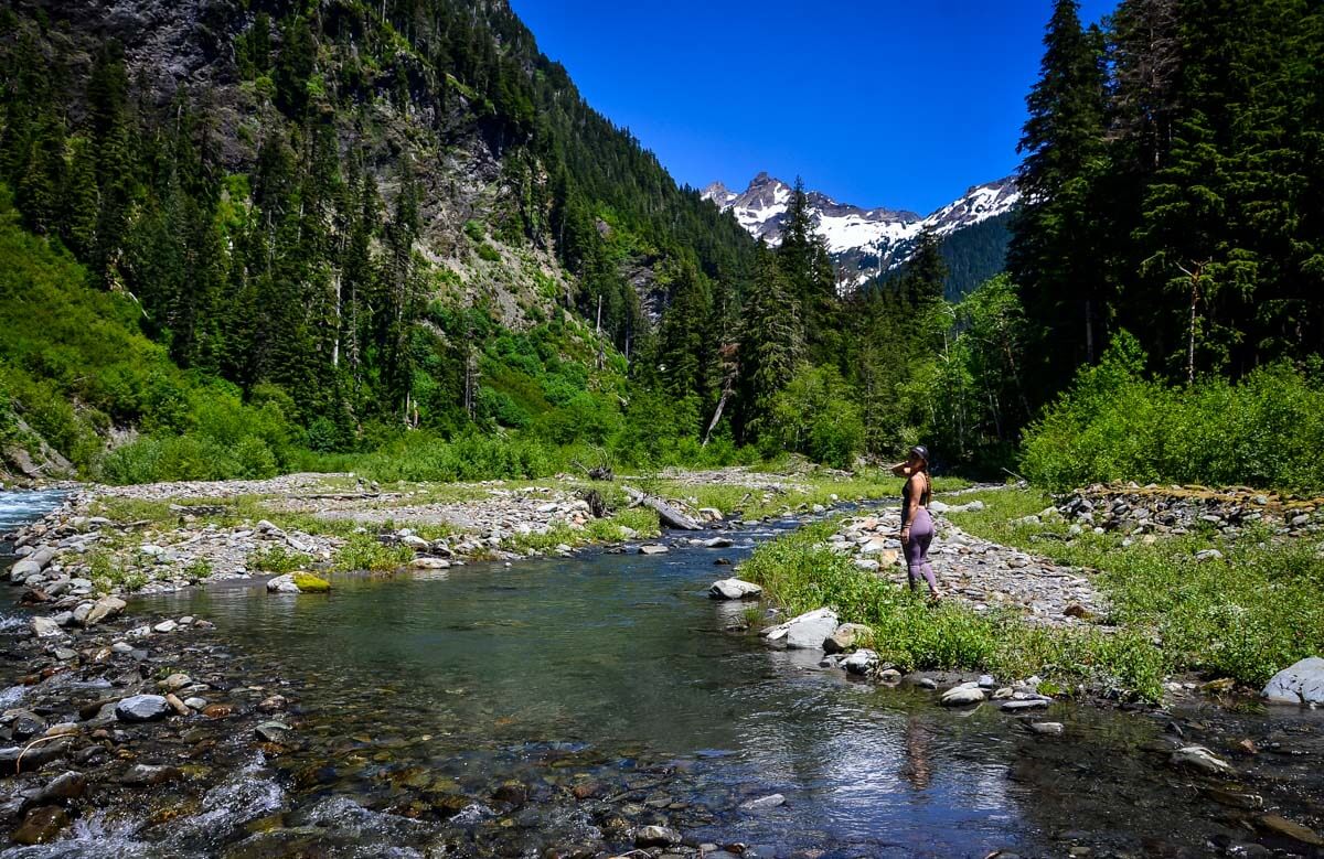 Enchanted Valley Trail Guide One of the best hikes in the Olympic