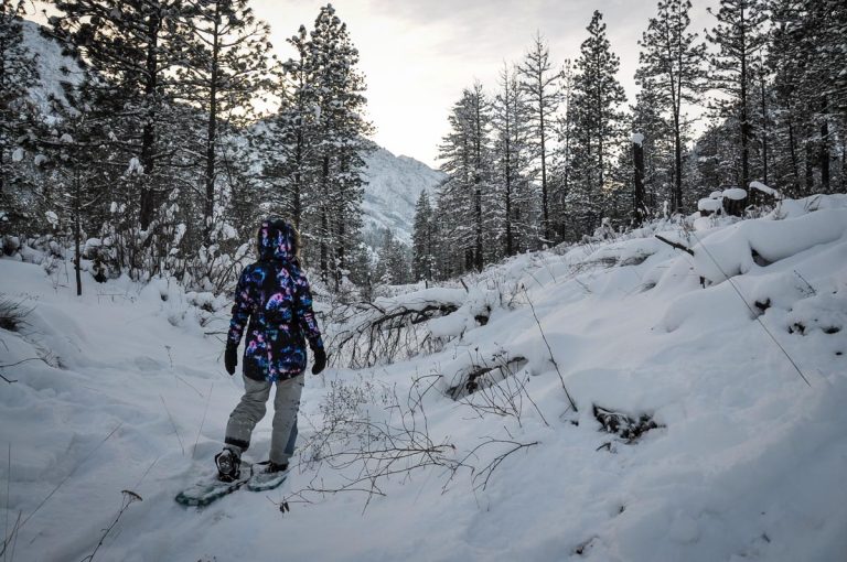 Snowshoeing for Beginners Everything You Need to Know Go Wander Wild
