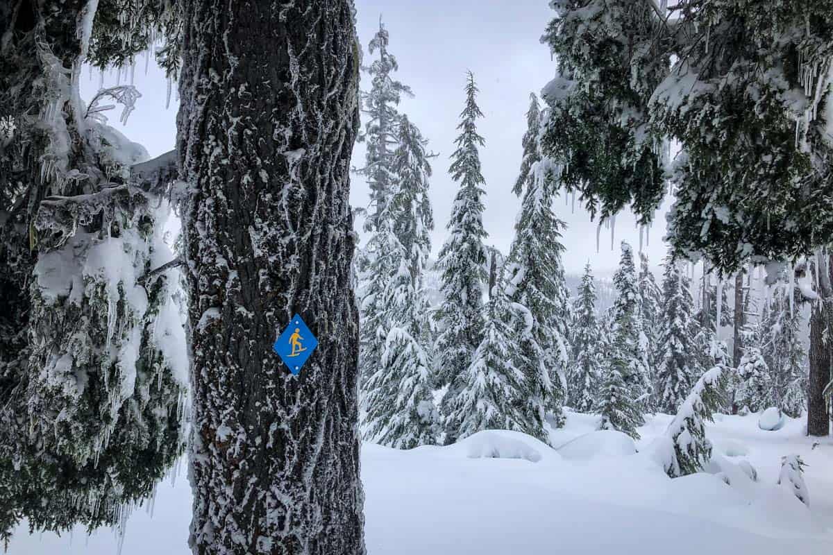 Snowshoeing for Beginners Everything You Need to Know Go Wander Wild