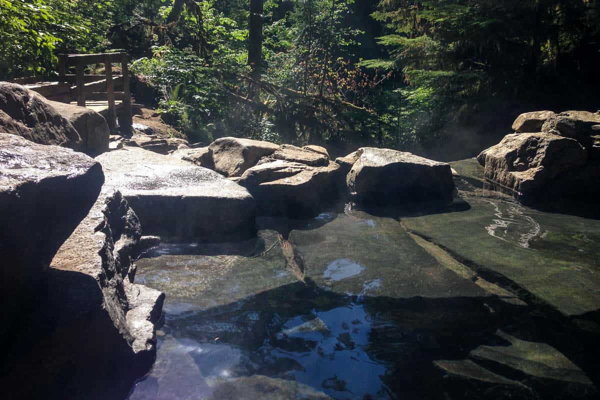 Terwilliger (Cougar) Hot Springs Directions + Tips Go Wander Wild