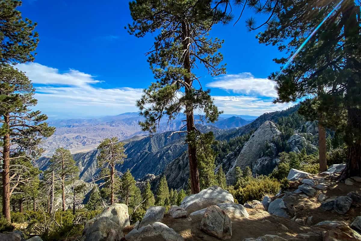 15 Best Palm Springs Hikes for Your Bucket List Go Wander Wild