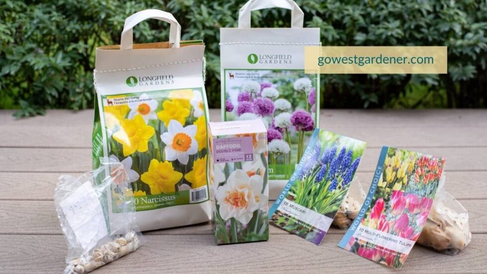 5 MustKnow Tips for Buying Spring Blooming Bulbs Colorado & the West