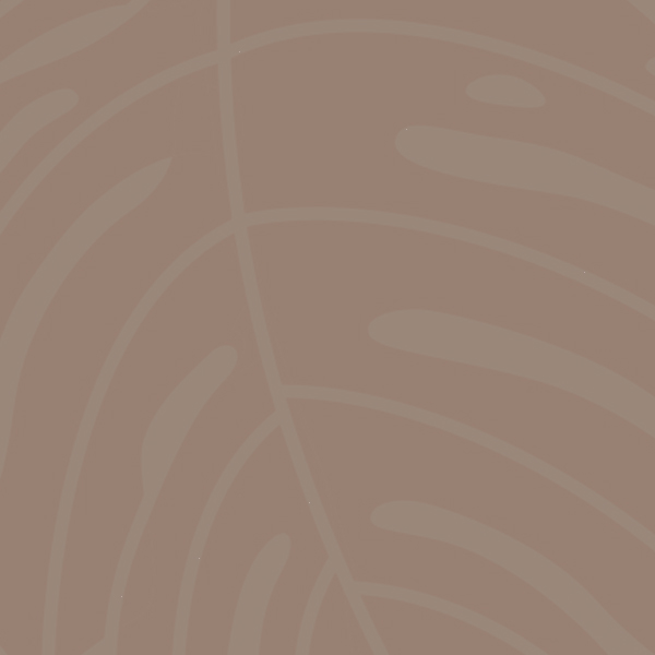 Dentist in San Jose, CA Spa Dentistry Dentist San Jose, CA