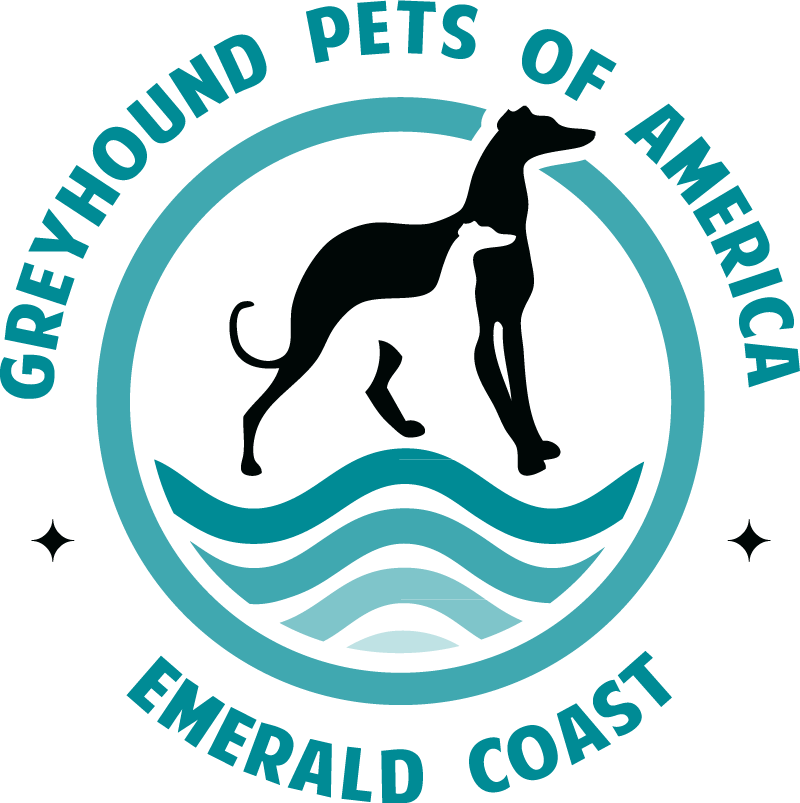 Greyhound Pets of America/Emerald Coast Retired Racing Greyhound