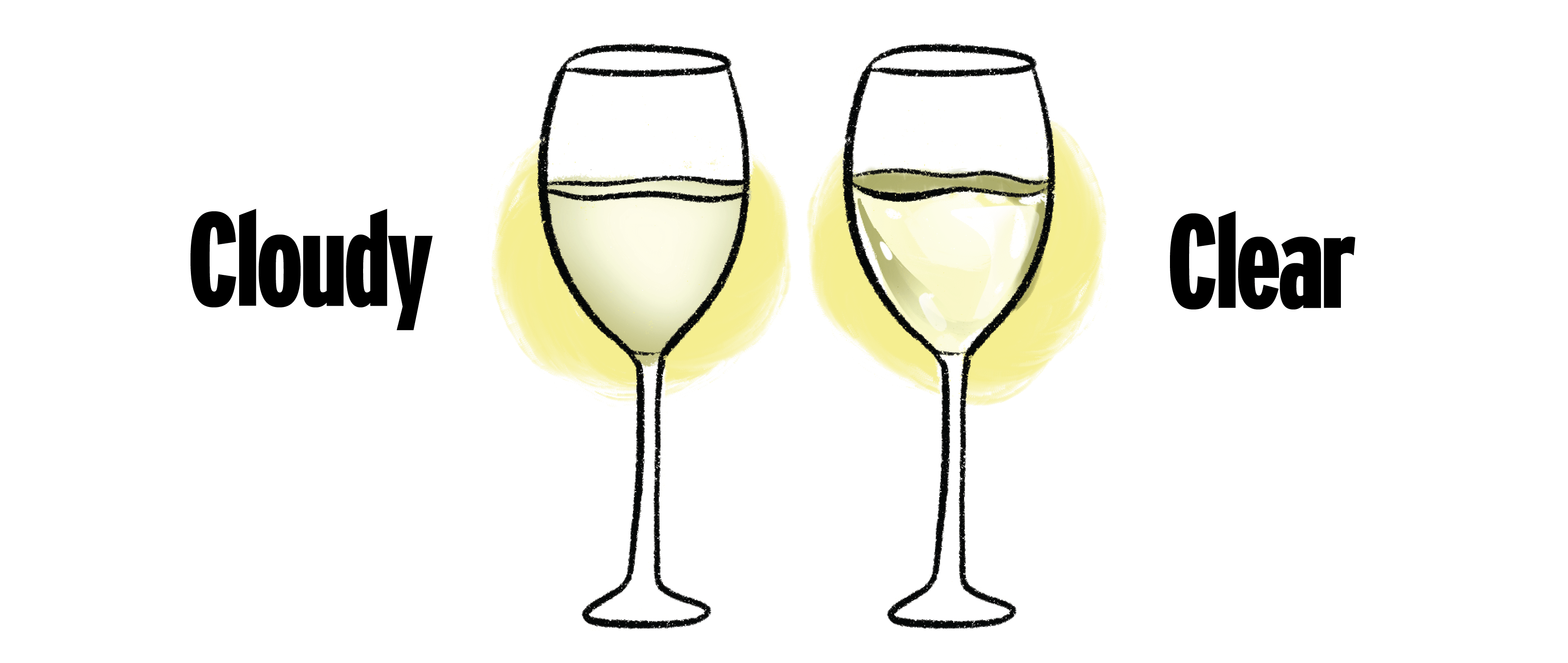 How to Taste Sake for Beginners The 4 Key Steps