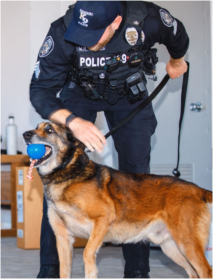 Greensboro Police Department Jobs Apply Online GPD Careers Hiring