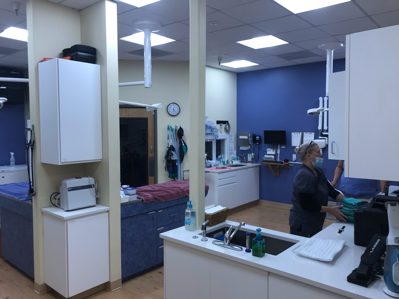 Marina Village Veterinary, Alameda, CA GP Development Corp