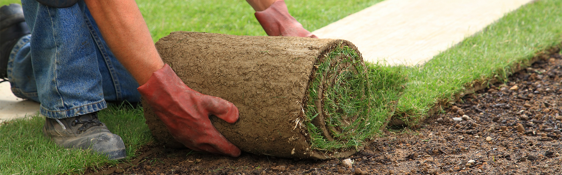Pose de tourbe GP Environnement