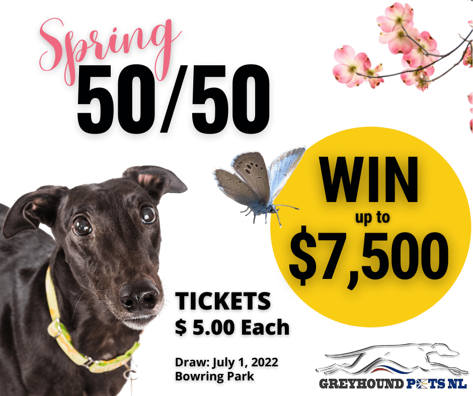 Win BIG in our Spring 50/50 cash draw! Greyhound Pets NL