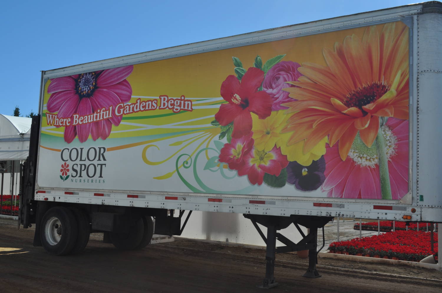 TreeTown USA Buys Hines Division of Color Spot Nurseries Greenhouse