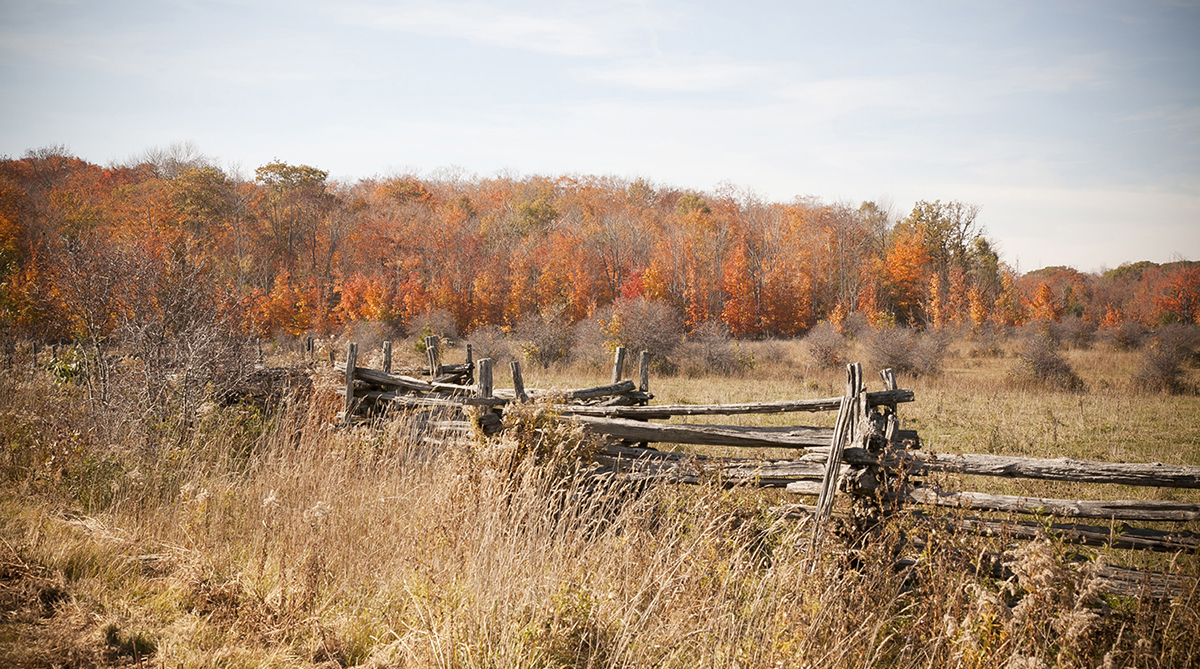 Family farms and prime farmland must be preserved Green Party of Ontario