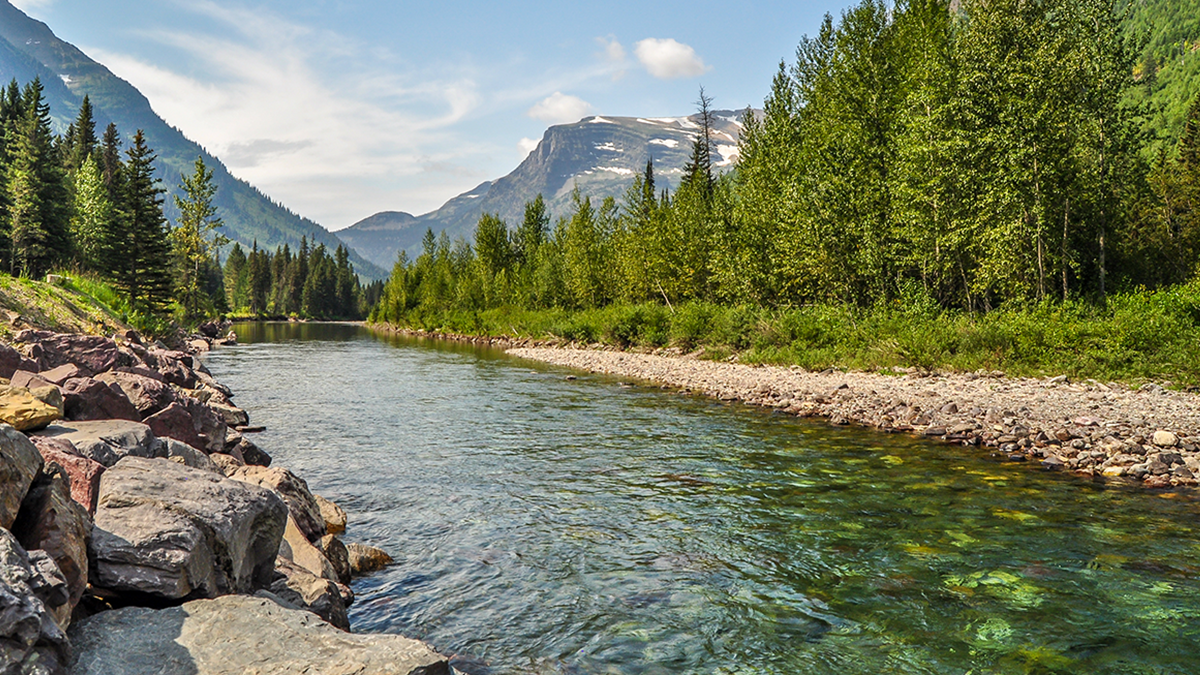 Green Plains Ingredients that matter