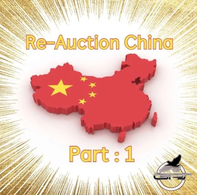 ReAuction China Part 1 GPSAuctions