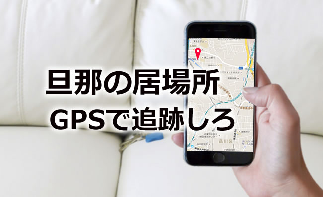 バレ ない gps 超小型 636056