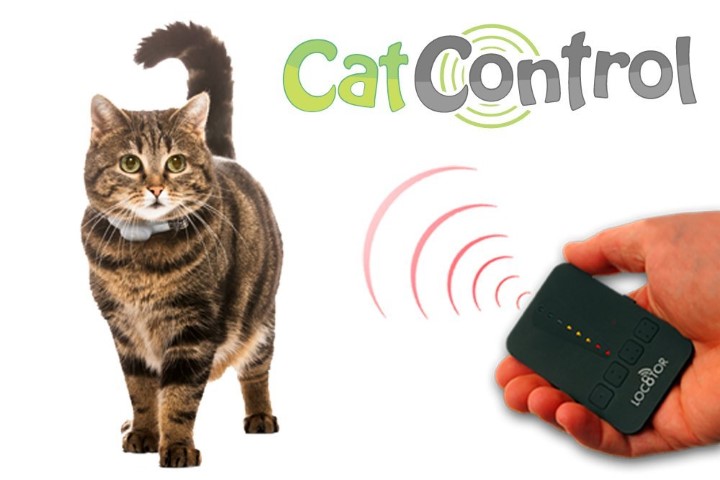 Cat Control für Katzen im Test GPS Sender für Katzen