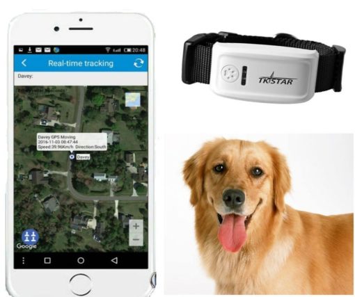 Tkstar MiniGPSTracker im Test GPS für Hunde und Katzen