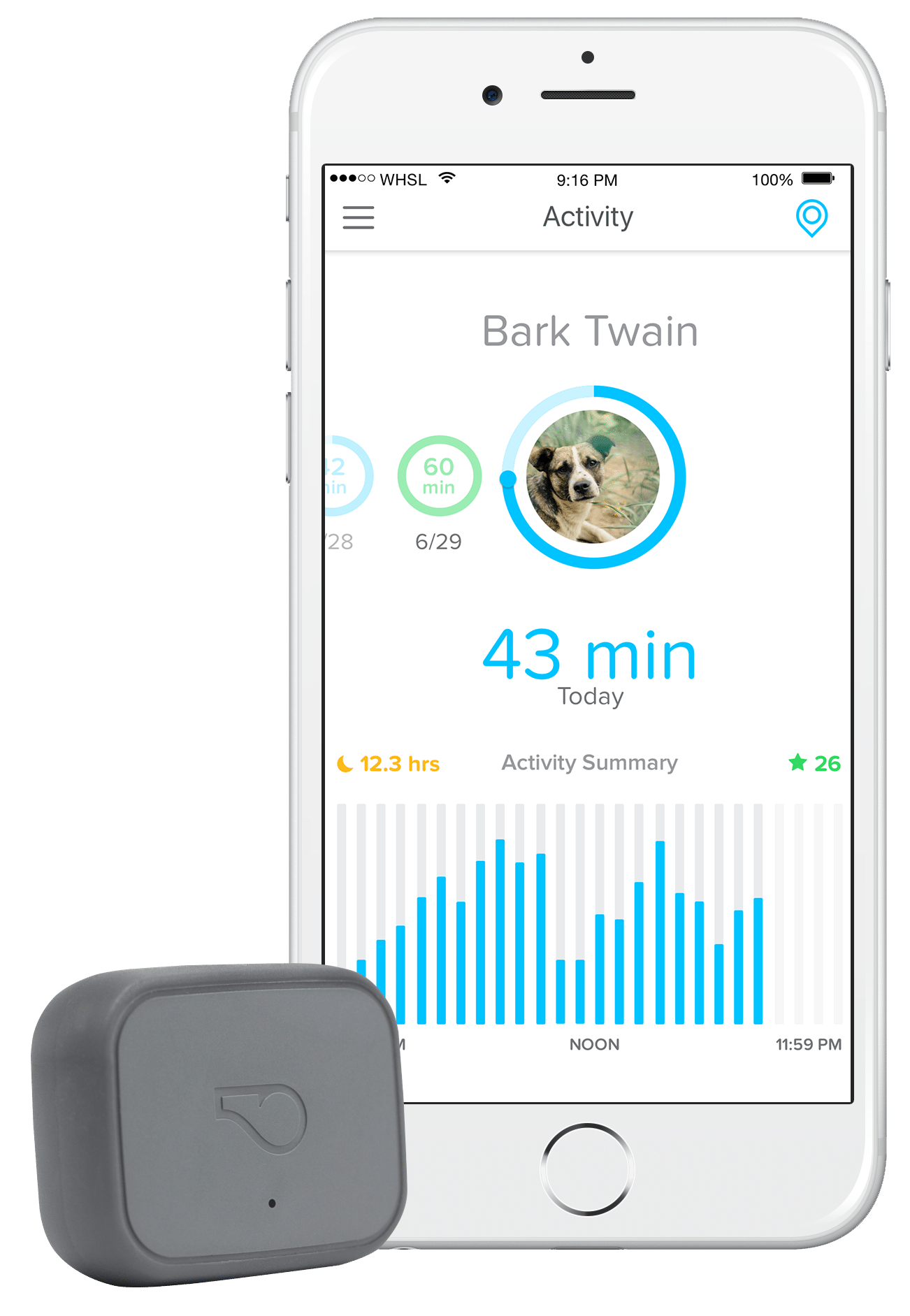 New Whistle 3 GPS Pet Tracker Announced GPS Tracklog