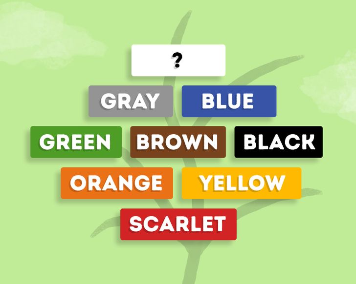 Top Tree Color Riddle Genius Puzzles