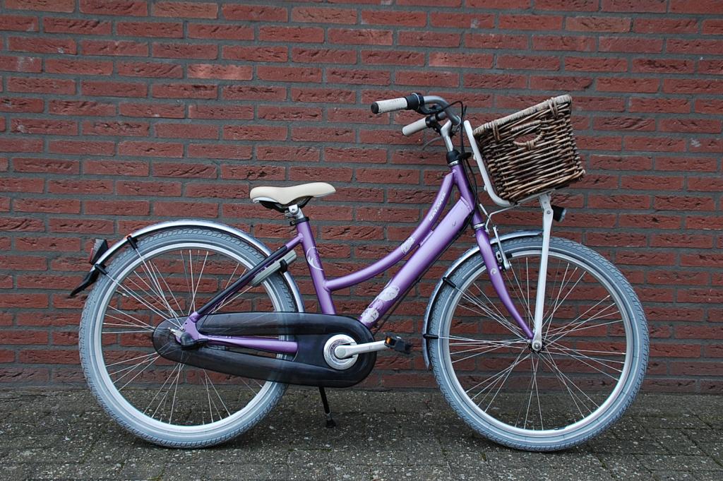 Kinderfiets Batavus Diva 24 – Grab Your Bike