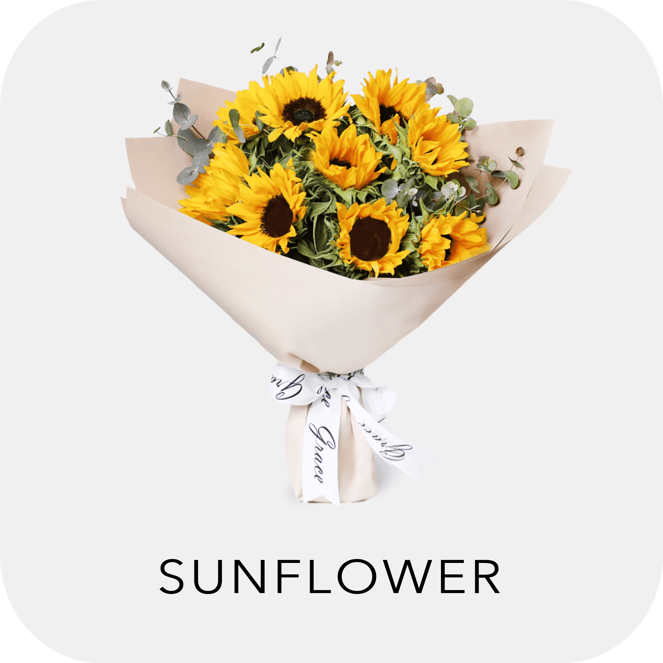 Sunflower flower Box & Bouquet delivery in Dubai 24/7 Free Delivery