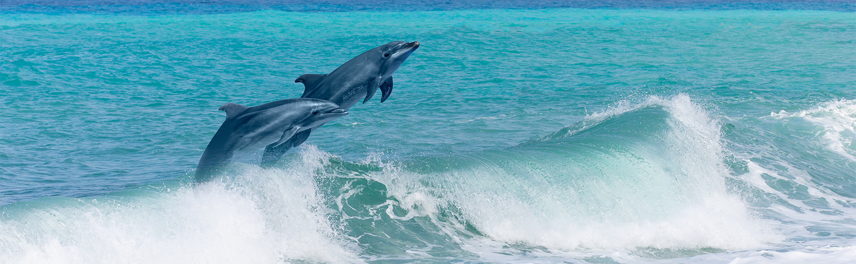 Couples Therapy Grace Behavioral Health