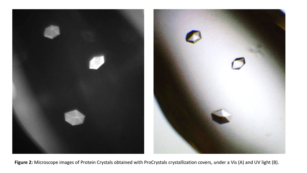 Tryptophan Fluorescence identification of protein crystals Grace BioLabs