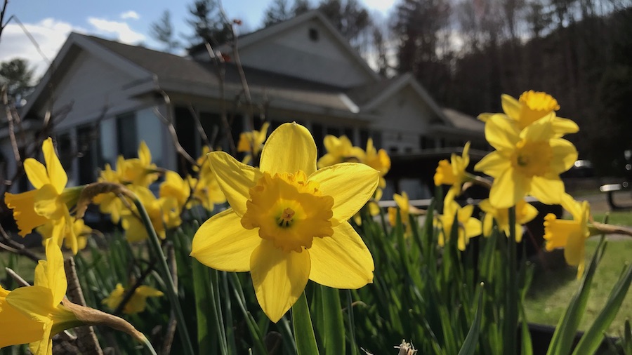 Grace Cottage Hospital