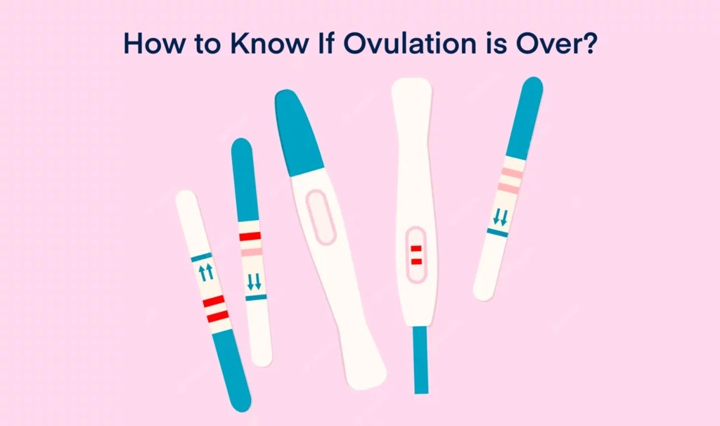 Signs Ovulation is Over Grace Fertility