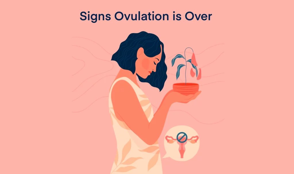 Signs Ovulation is Over Grace Fertility
