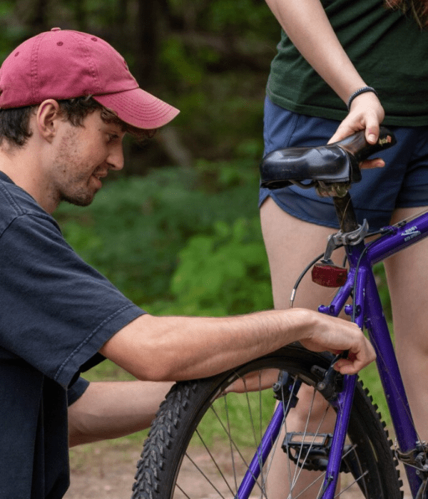 Jobs Gracefield Camp