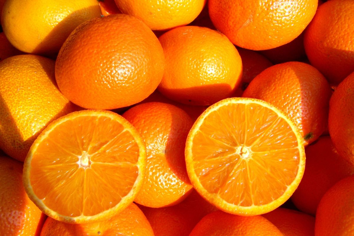 How To Check If An Orange Is Bad The Signs Of Rotten Oranges
