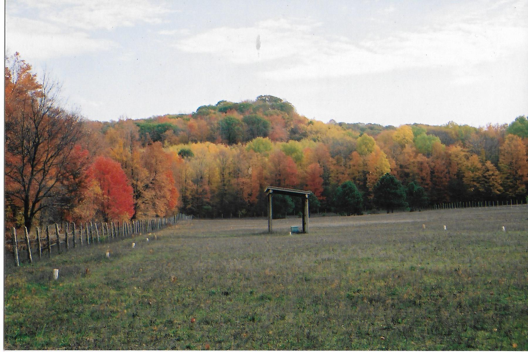 Grace Grange Boarding Stable All Season Boarding Stable near Petoskey