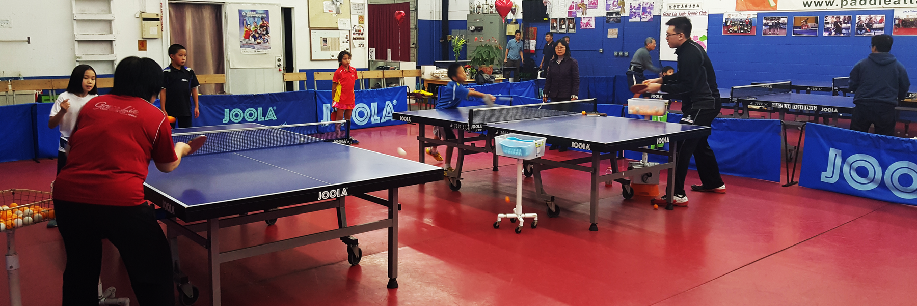 Group Lessons Grace Lin Table Tennis Club