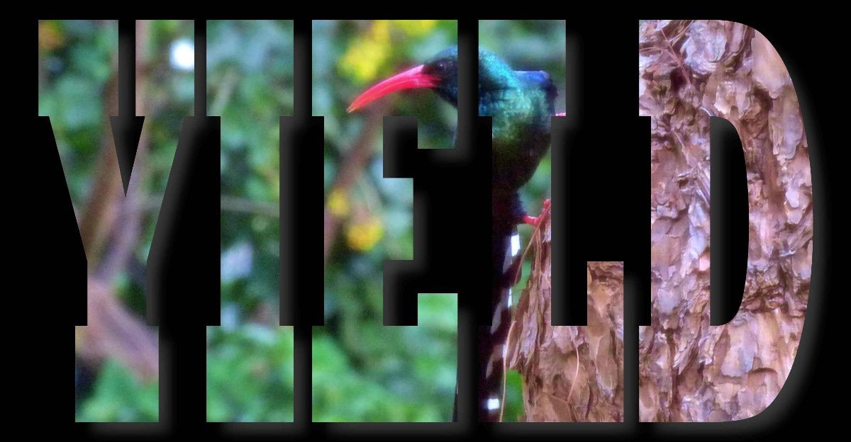 Grace Ministries International Grand Rapids, Michigan