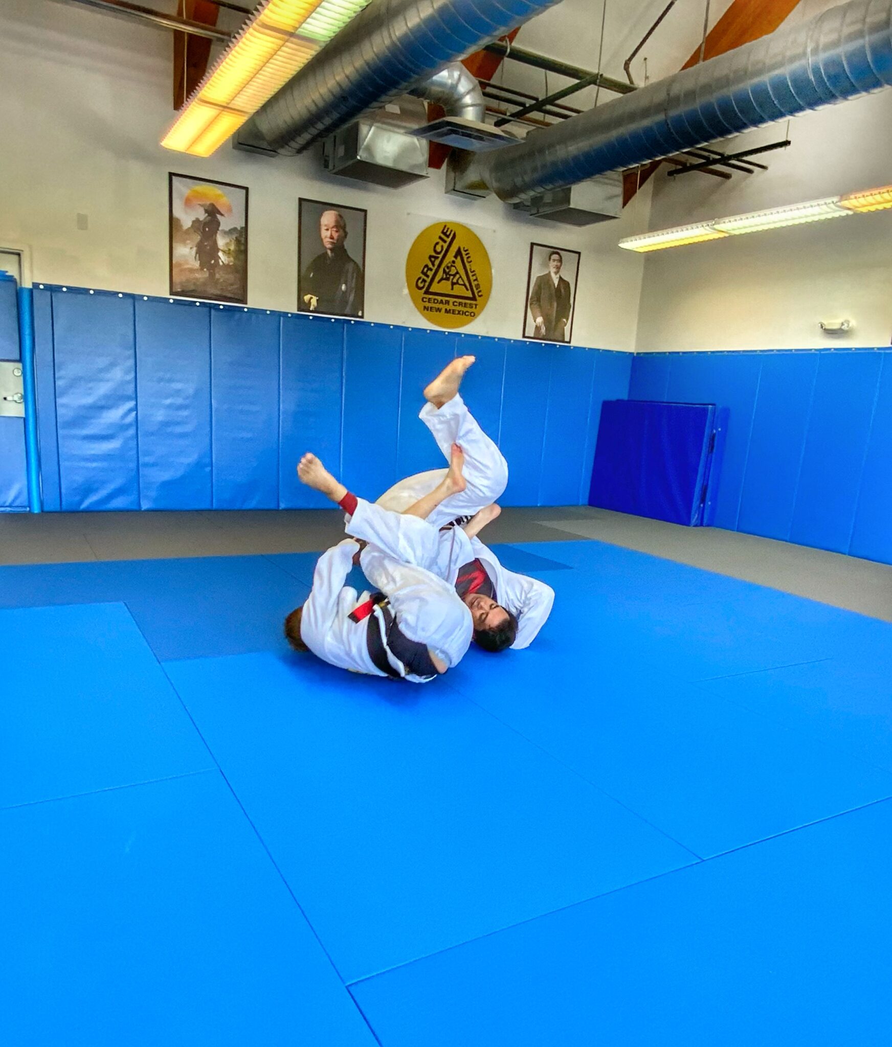 Contact Us Gracie Humaita Cedar Crest