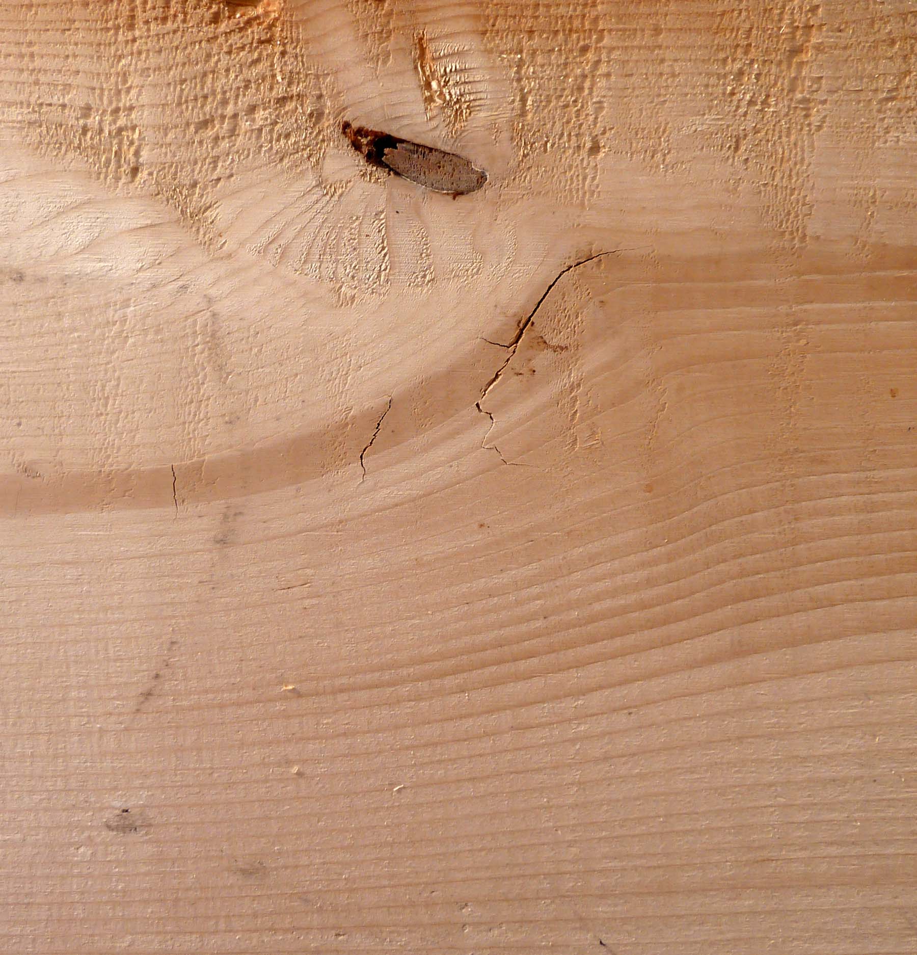 NELMA Grader Academy SPF Characteristics 102 Fiber Failures