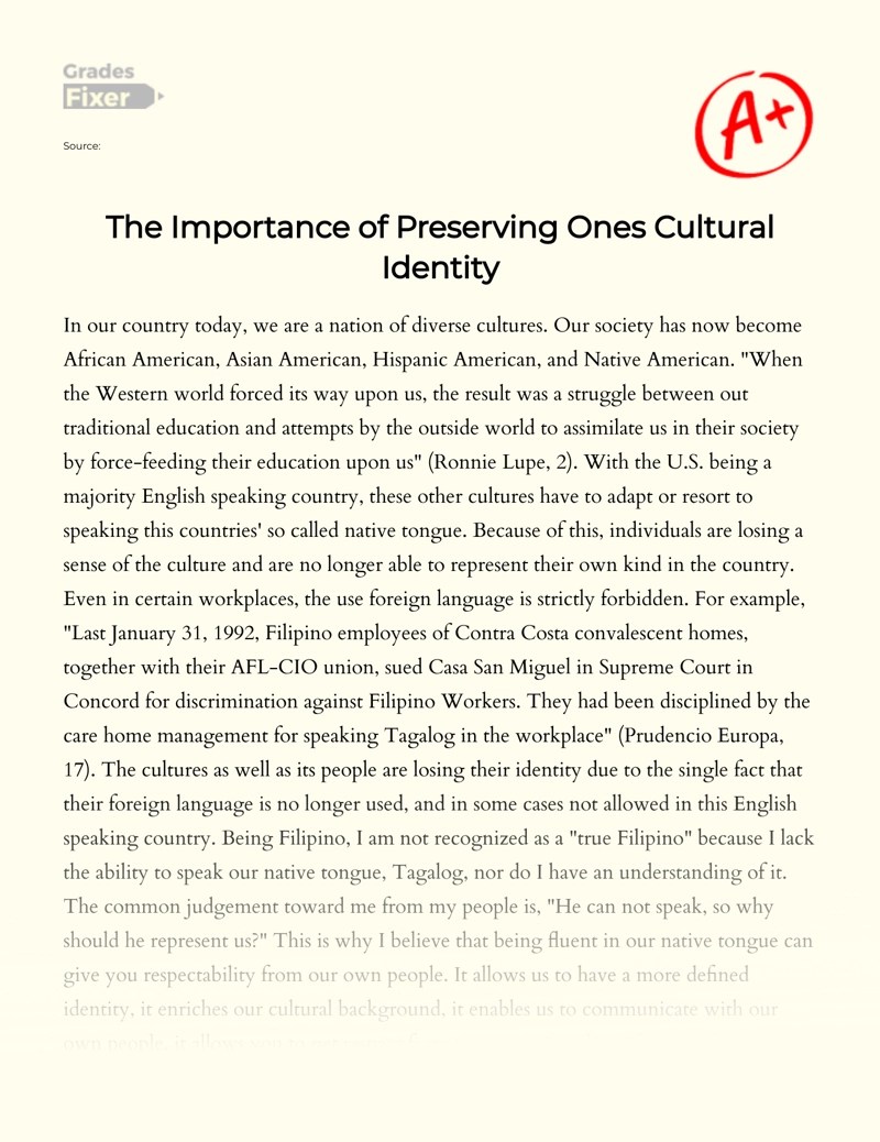 The Importance of Preserving One's Cultural Identity [Essay Example