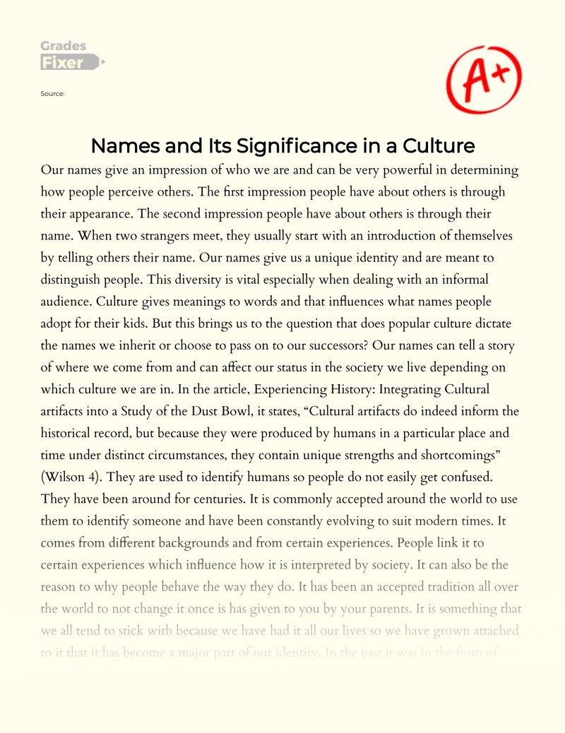 Meaning and Influence Why are Names Important [Essay Example], 1016