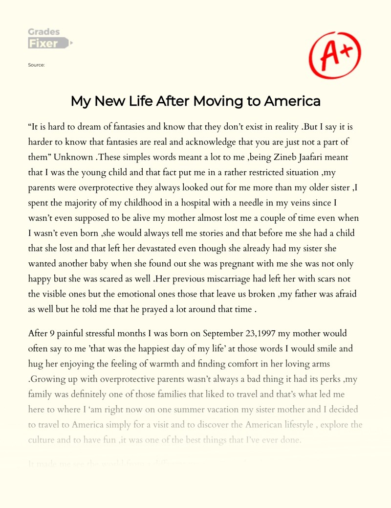Moving to Another Country My New Life in America [Essay Example
